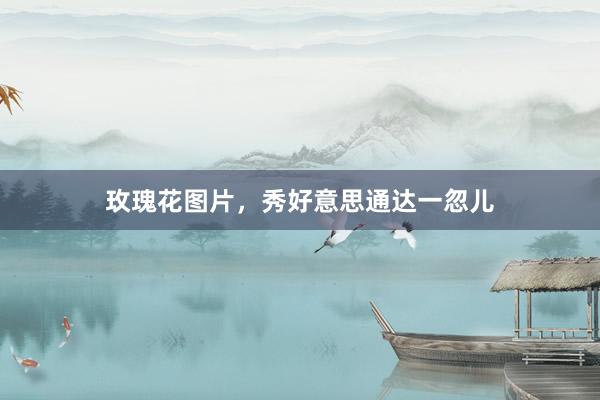 玫瑰花图片,秀好意思通达一忽儿